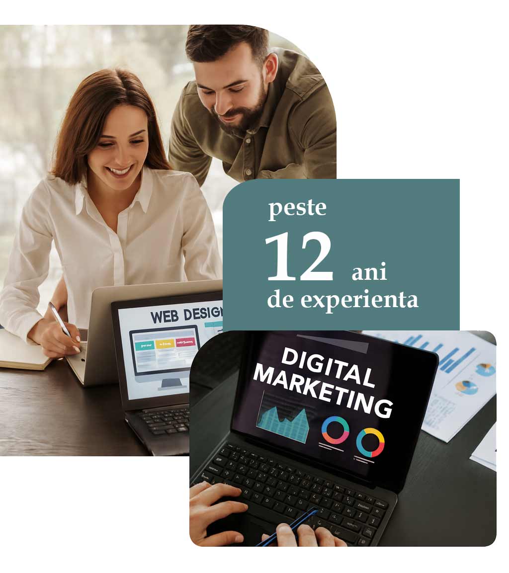 12 ani experienta in webdesign
